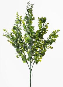 Eukalyptus zelený 60cm