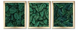 Wallity Súprava obrazov Blade 3 ks 23,5x28,5 cm zelená