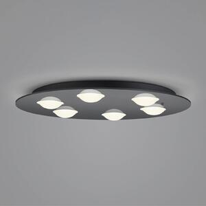 Helestra Nomi stropné LED svetlo Ø 49cm dim čierna