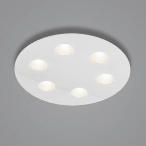 Helestra Nomi stropné LED svetlo Ø 49 cm dim biela