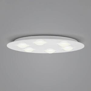 Helestra Nomi stropné LED svetlo Ø 49 cm dim biela