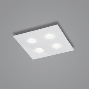 Helestra Nomi stropné LED svetlo 38x38cm dim biela