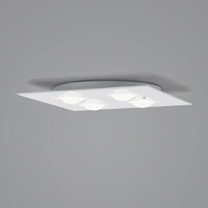 Helestra Nomi stropné LED svetlo 38x38cm dim biela