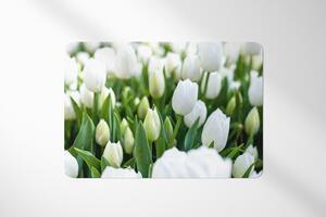 Prestieranie Biele tulipány