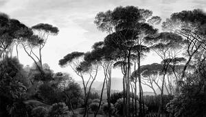 VLADILA Taormina Pines - tapeta