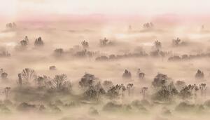 VLADILA Foggy Landscape Peach - tapeta
