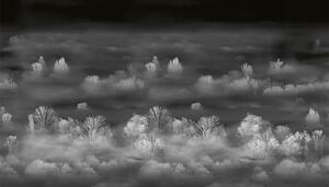 VLADILA Foggy Landscape Nightview - tapeta
