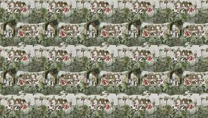 VLADILA Zane textura canvas - tapeta