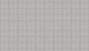 VLADILA grey-like Canvas - tapeta