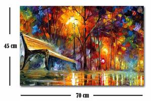 Wallity Reprodukcia obrazu Leonid Afremov 082 45 x 70 cm