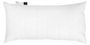 VANKÚŠ POD HLAVU, 40/80 cm Centa-Star - Prikrývky & vankúše, Online Only