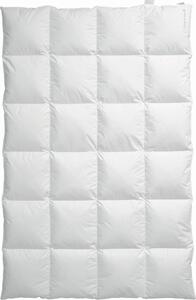 PÁPEROVÁ PRIKRÝVKA, 135/200 cm, perie, páperie Centa-Star - Prikrývky & vankúše, Online Only