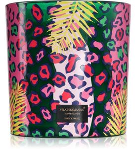 Vila Hermanos Jungletopia Spicy Cypriol vonná sviečka 1450 g