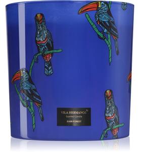 Vila Hermanos Jungletopia Rain Forest vonná sviečka 1450 g