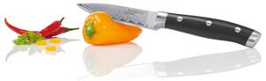 Ernesto® Kuchynský nôž/Nôž na zeleninu z damascénskej ocele (nože na zeleninu s nitovanou rukoväťou) (100357369)
