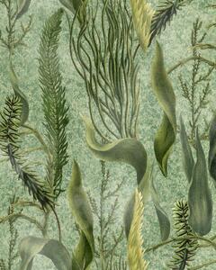 MINDTHEGAP Aquatic Plants