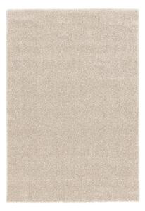 KOBEREC S VYSOKÝM VLASOM, 200/290 cm, farba lieskového orecha Astra - Koberce
