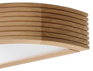 Brilagi - LED nástenné svietidlo CARVALHO MODERN 1xE27/60W/230V dub