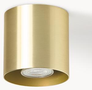 Stropná bodová lampa Roda