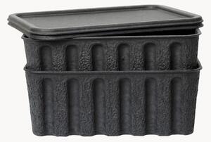Úložné škatule z papierovej hmoty Pulp, H 30 cm, 2 ks