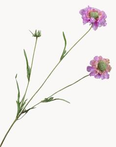 Rastlinné dekorácie Scabiosa, 2 ks