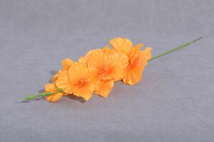 Umelé kvety GLADIOLA oranžová