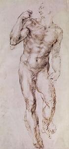Michelangelo Buonarroti - Umelecká tlač Sketch of David with his Sling, 1503-4, (23.3 x 50 cm)