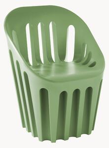 Stolička Coliseum