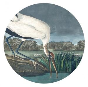 WALLCOLORS Dots Stork - tapeta