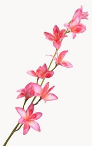 Rastlinné dekorácie Gladiolus, 2 ks