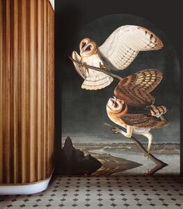 WALLCOLORS Owls wallpaper - tapeta