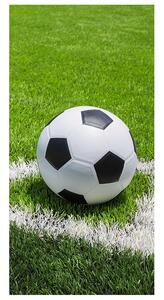 Jerry Fabrics Detská osuška FUTBAL 70x140 cm