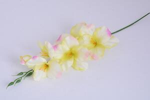 Umelé kvety GLADIOLA žltoružová