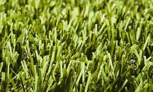 Lano - koberce a trávy Trávny koberec Sage metrážny - Rozmer na mieru cm