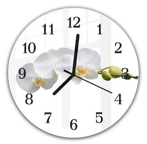 Nástenné hodiny okrúhle pr.30cm biele kvety orchidey na stonke - plexi