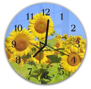 Nástenné hodiny okrúhle pr.30cm rozkvitnuté pole slnečníc - plexi