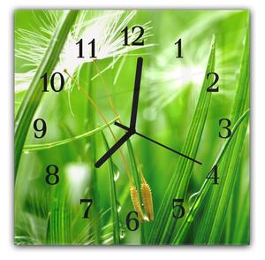 Nástenné hodiny 30x30cm stvoly zelenej trávy a páperie odkvitnuté púpavy - plexi