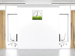 Nástenné hodiny 30x30cm zelená jarná tráva na bielom podklade - plexi
