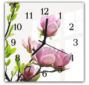 Nástenné hodiny 30x30cm kvety ružovej magnólie a lístia na bielom podklade - plexi