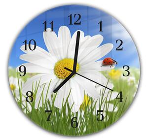 Nástenné hodiny okrúhle pr.30cm kvet margarétky s lienkou - plexi