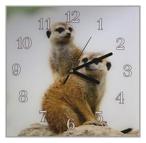 Nástenné hodiny surikata 30x30cm I - plexi
