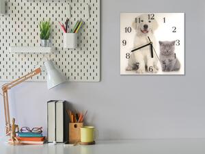Nástenné hodiny mačka-pes 30x30cm II - plexi
