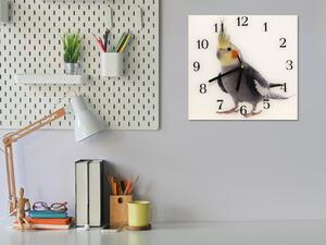 Nástenné hodiny papagáj 30x30cm XLV - plexi