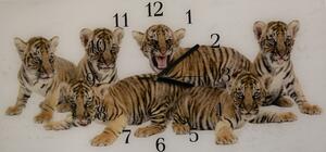 Nástenné hodiny tiger 30x60cm III - plexi