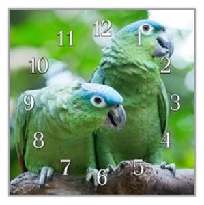 Nástenné hodiny papagáj 30x30cm VIII - plexi