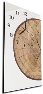 Nástenné hodiny 30x60cm prierez kmeň dreva - plexi