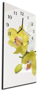 Nástenné hodiny orchidea 30x60cm XI - plexi