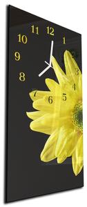 Nástenné hodiny kvet 30x60cm II - plexi