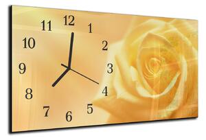 Nástenné hodiny ruže 30x60cm VI - plexi