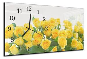 Nástenné hodiny ruže 30x60cm IX - plexi